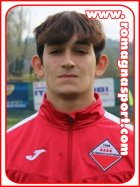 Mattia Ambrogiani